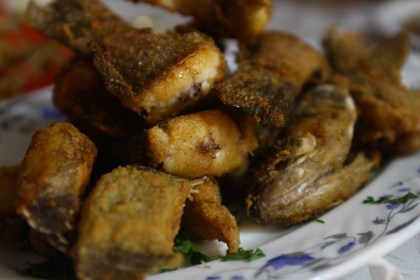 Hatay_SahinTepesiBalik