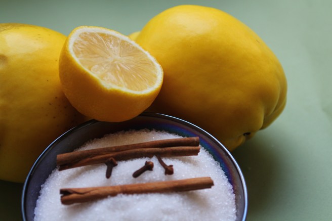 AyvaMarmaleti_malzemeler