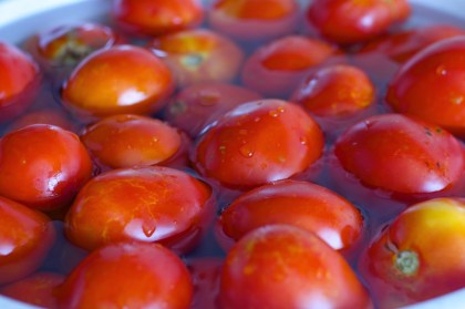 DomatesKonserve_Hazirlik3