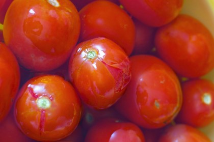 DomatesKonserve_Hazirlik4