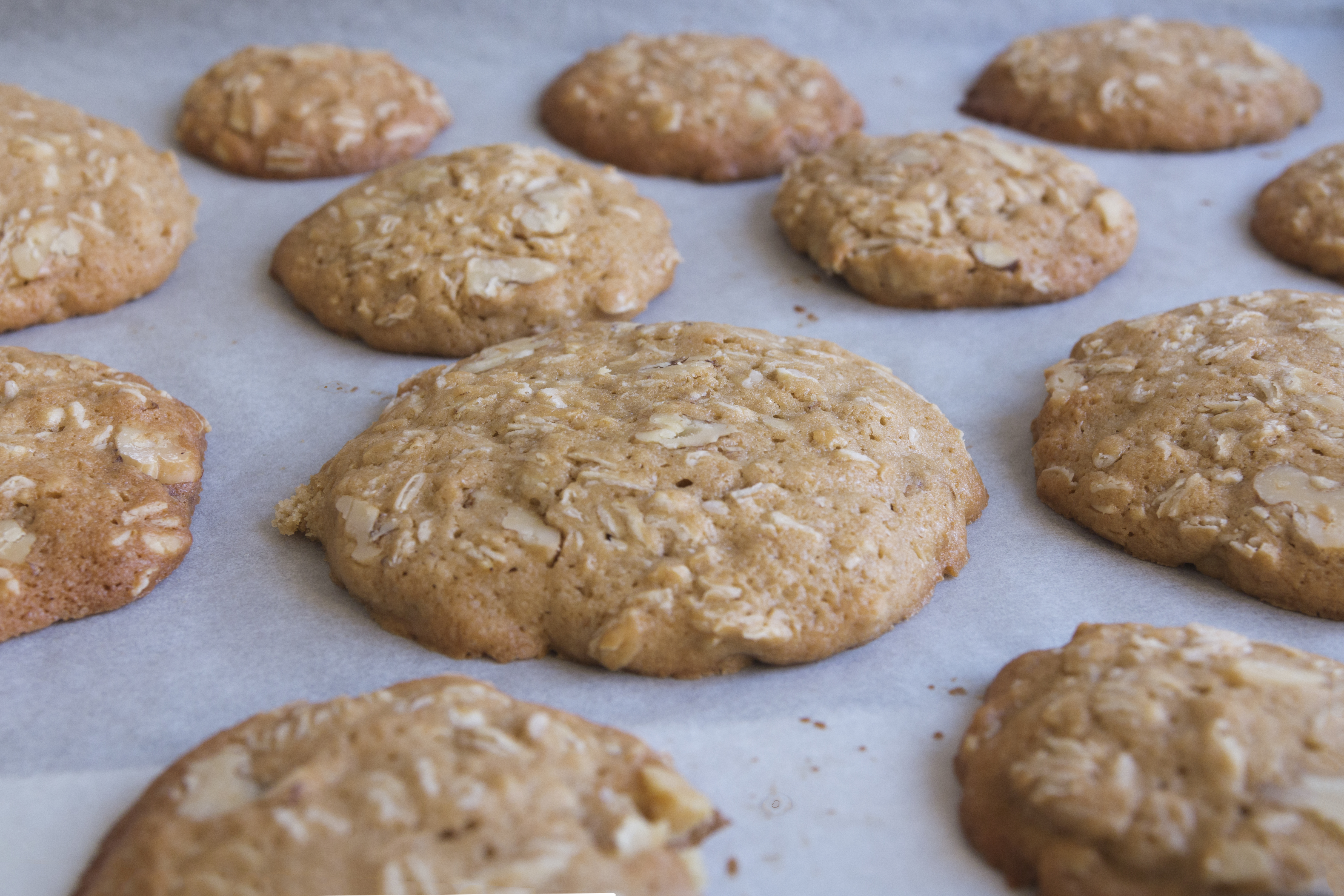 YulafliCevizliKurabiye_pisirmesonrasitepsi